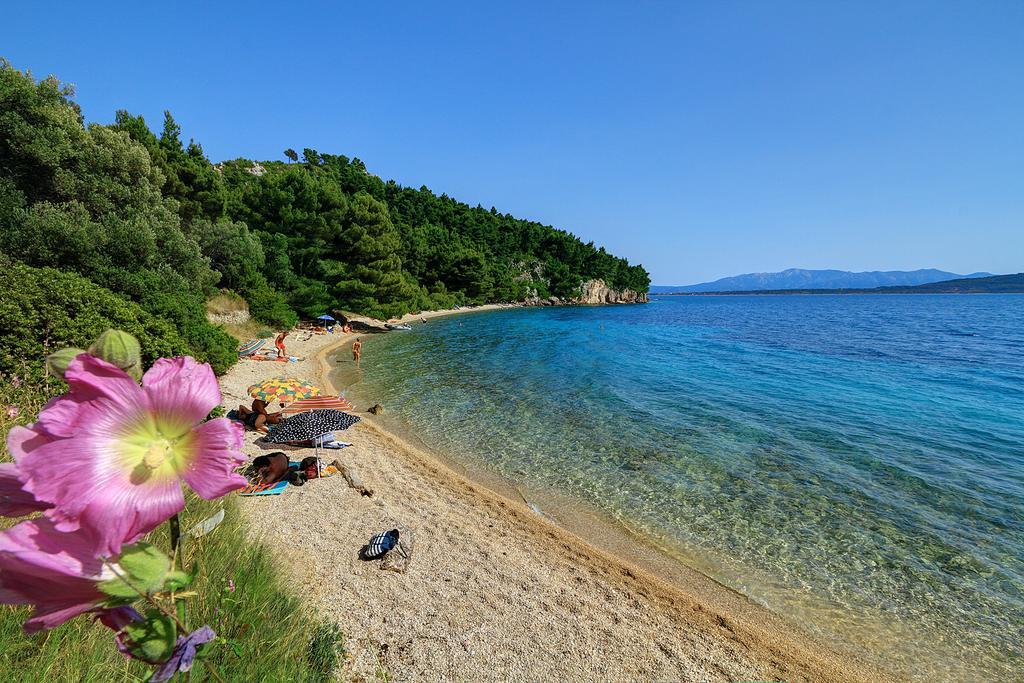 Holiday House Zorra Živogošće Cameră foto